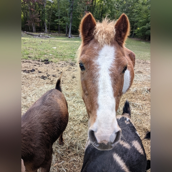 20% Off Bundles Of Two Items Or More - Picture 6 of 10